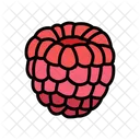 Raspberry Ripe Red Icon