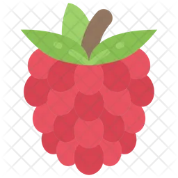 Raspberry  Icon