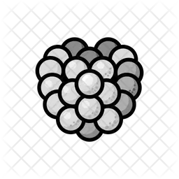Raspberry  Icon