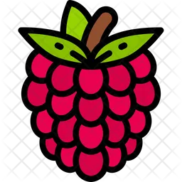 Raspberry  Icon