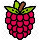 Raspberry Food Eating Icon
