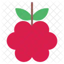 Rapsberry Icon