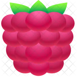 Raspberry  Icon