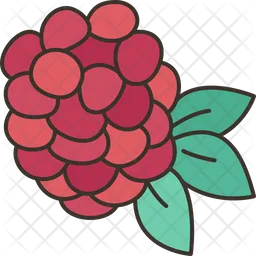 Raspberry  Icon