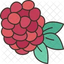 Raspberry Berry Diet Icon