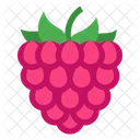 Raspberry Fruit Food Icon