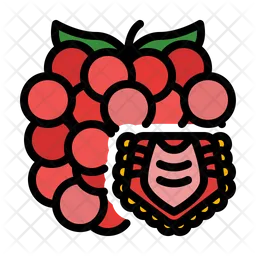 Raspberry  Icon