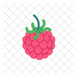 Raspberry  Icon