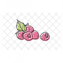 Raspberry Raspberries Fruit Icon