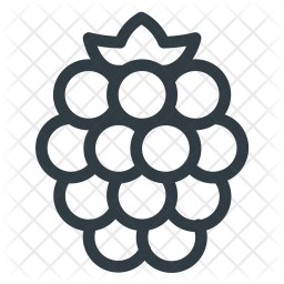 141 Raspberry Pi Icons - Free in SVG, PNG, ICO - IconScout