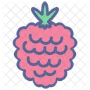 Berry Fruit Icon