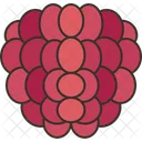 Raspberry Berry Fruit Icon