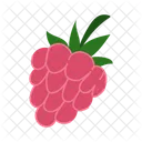 Antioxidant Berry Green Leaves Icon