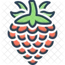 Raspberry Berry Fruit Icon
