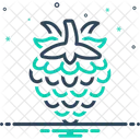 Raspberry Berry Fruit Icon