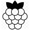 Raspberry Icon