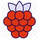 Raspberry Icon