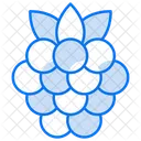 Raspberry Blackberry Fruit Icon