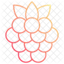 Raspberry  Icon