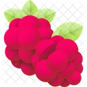 Raspberry Fruit Food Icon