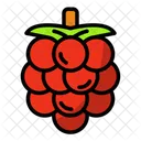 Raspberry Icon