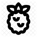 Raspberry Icon