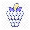 Fruit Food Healthy Icon