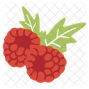 Fruit Fruits Vegetables Icon