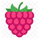 Raspberry  Icon