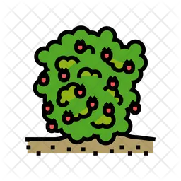 Raspberry Plant  Icon