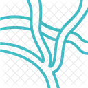 Rastreamento Mapa Estrada Ícone