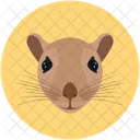 Rat Mouse Pet Icon