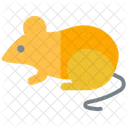Rat Rodent Pet Rat Icon