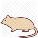 Rat  Icône