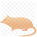 Rat Animal Creature Icône