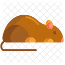 Vermin Rat Mouse Icon