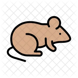 Rat  Icon