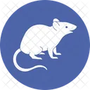 Rat Mole Mouse Icon