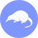 Rat Mole Mouse Icon