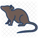 Rat Animal Wildlife Icon