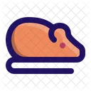 Rat Mouse Rodent Icon