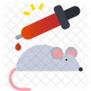 Rat Experiment Experiment Mouse Icon