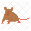 Rat Animal Mammal Icon
