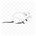 Rat Mouse Rodent Icon