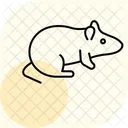 Rat Pet Mammal Icon
