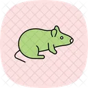 Rat Pet Mammal Icon
