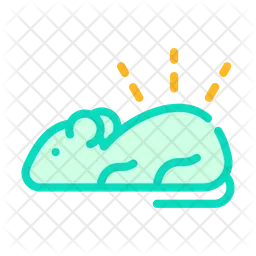 Rat Research  Icon