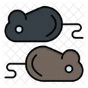 Rat Testing  Icon