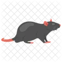 Rat Zodiac Clever Rat Icon