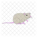 Rata Raton Roedor Icon